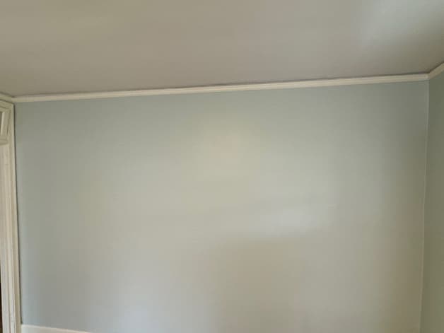 Freshly painted pale wall with white trim and a wood floor